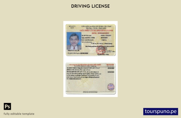 Plantilla de licencia de conducir de Vietnam lista para imprimir